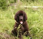 Превью фото № 19191