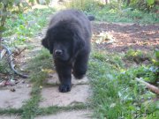 Превью фото № 191951