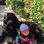 Превью фото № 191957