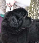 Превью фото № 192002