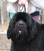 Превью фото № 192003