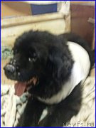 Превью фото № 192140