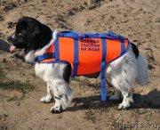 Превью фото № 192153