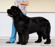 Превью фото № 192172