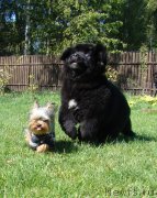 Превью фото № 192205