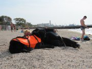 Превью фото № 192206