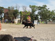 Превью фото № 192215