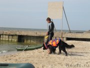 Превью фото № 192216