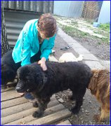 Превью фото № 192255