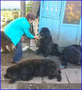 Превью фото № 192256