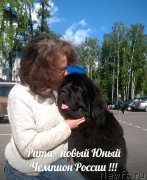 Превью фото № 192315