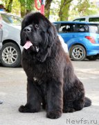 Превью фото № 192318