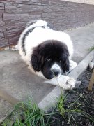 Превью фото № 192334