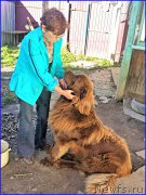 Превью фото № 192371