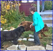 Превью фото № 192387