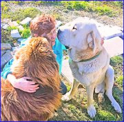 Превью фото № 192422