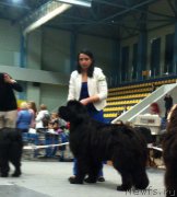 Превью фото № 192426