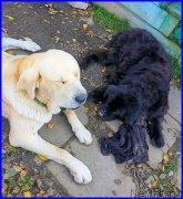 Превью фото № 192470