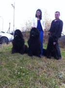 Превью фото № 192679