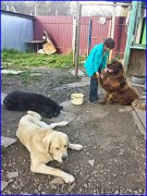 Превью фото № 192685