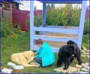 Превью фото № 192691