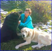 Превью фото № 192692