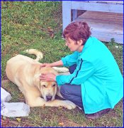 Превью фото № 192693