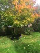 Превью фото № 192696