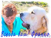 Превью фото № 192707