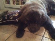 Превью фото № 192749