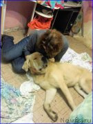 Превью фото № 192863