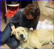 Превью фото № 192867