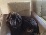 Превью фото № 192874