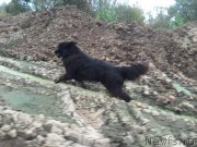 Превью фото № 192916