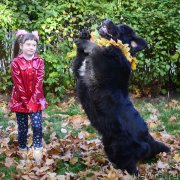 Превью фото № 192943