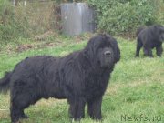 Превью фото № 193014