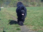 Превью фото № 193015