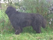 Превью фото № 193021