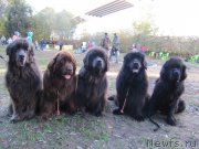 Превью фото № 193107