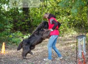 Превью фото № 193116