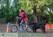 Превью фото № 193133