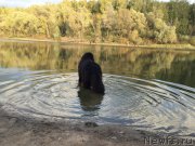 Превью фото № 193181