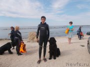 Превью фото № 193183