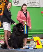 Превью фото № 193202