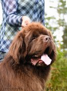 Превью фото № 193245