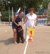 Превью фото № 193259