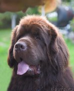 Превью фото № 193263