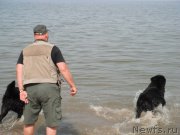 Превью фото № 193319