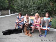 Превью фото № 193322