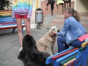 Превью фото № 193326